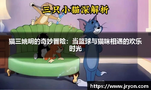 猫三姚明的奇妙冒险：当篮球与猫咪相遇的欢乐时光
